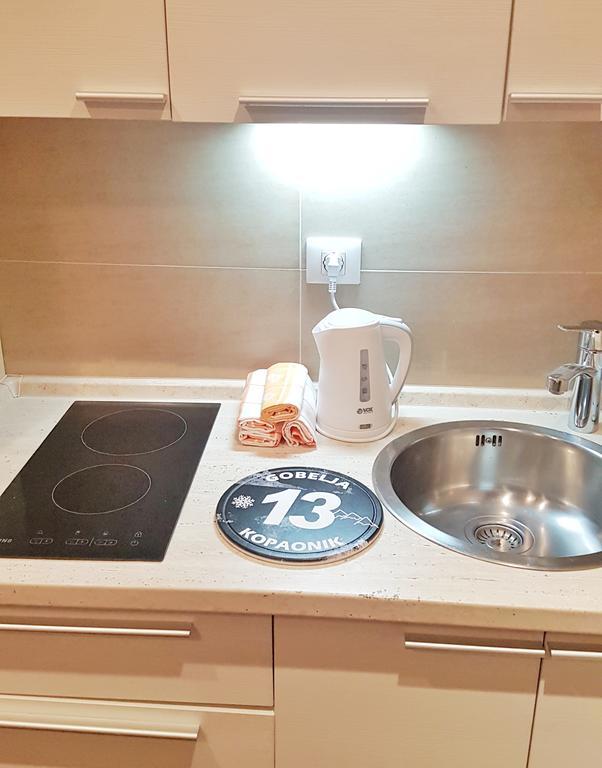 Apartment Suncani Vrhovi Kopaonik Kültér fotó